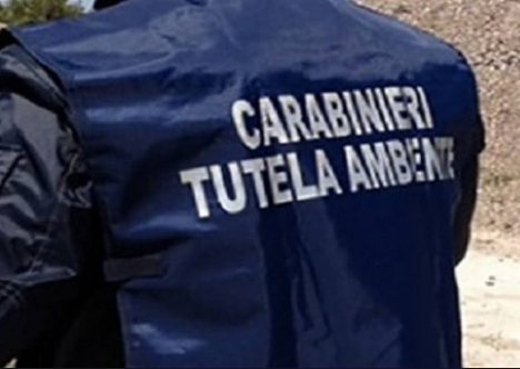 carabinieri-tutela-ambientale