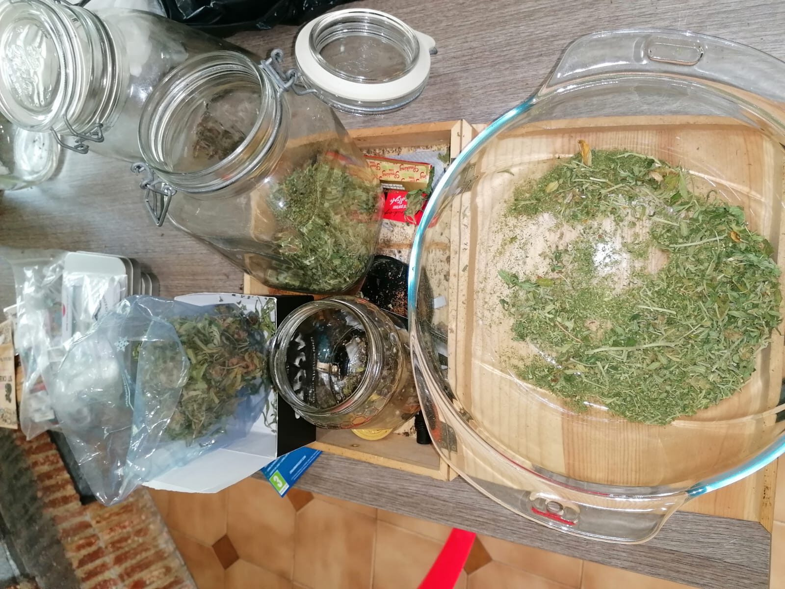 benevento-coltivava-marijuana-abitazione-arrestato