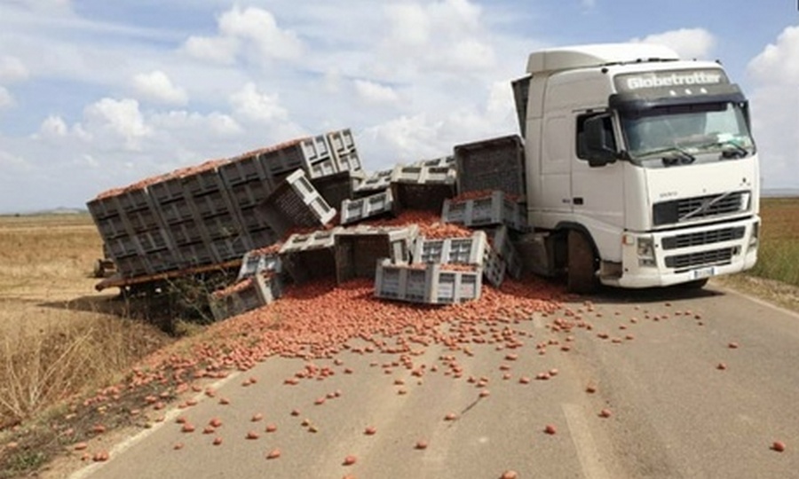 foiano camion pomodori